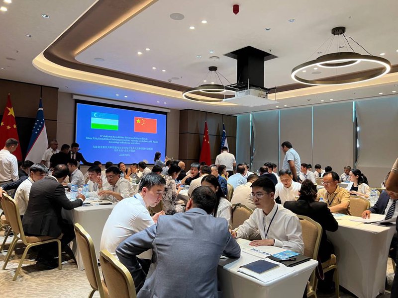 上海商务沙龙：拓展人脉与商业机遇的桥梁